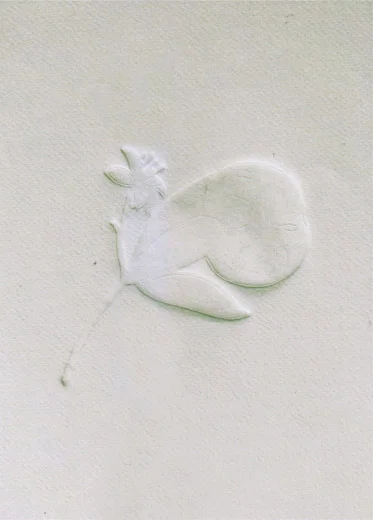 All India Women Artists’ Art Exhibition 2020