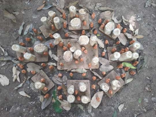 All India Women Artists’ Art Exhibition 2025