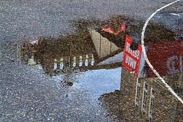 Jaskanwal Jit Kaur Art